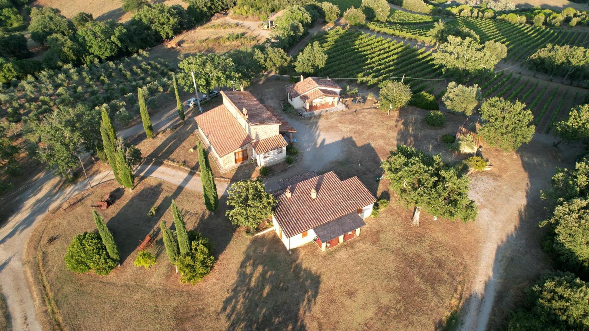 Agriturismo Belvedere Di Pierini E Brugi Campagnatico Exteriér fotografie