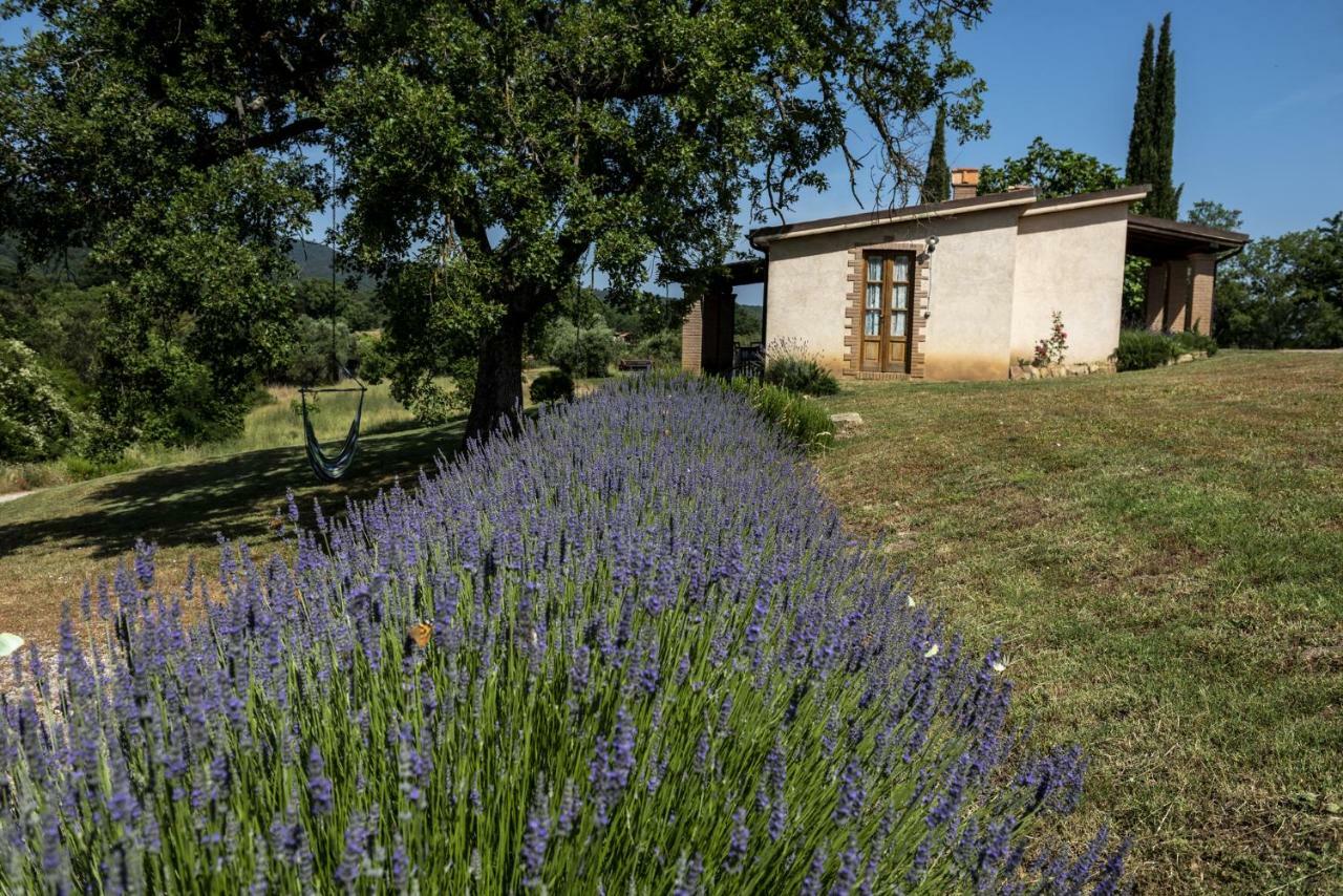Agriturismo Belvedere Di Pierini E Brugi Campagnatico Exteriér fotografie